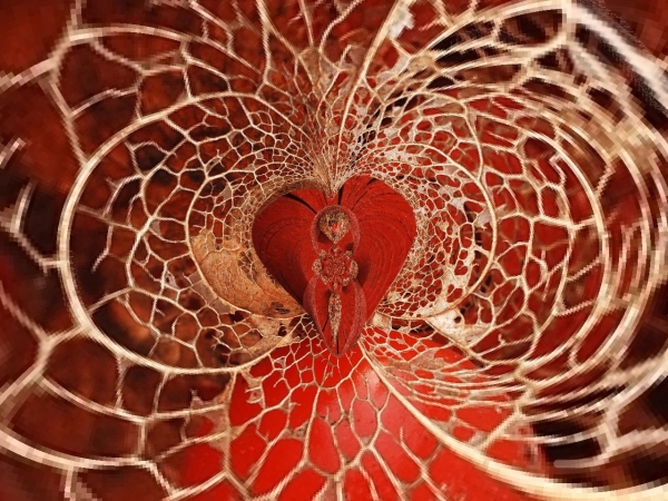 Creation of heart: Step 4